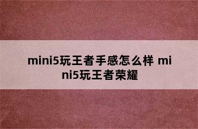 mini5玩王者手感怎么样 mini5玩王者荣耀